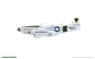 Preview: 1/48 North-American P-51D Mustang VERY LONG RANGE