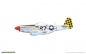 Preview: 1/48 North-American P-51D-5 Mustang