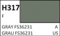 Preview: Grau FS36231 / Gray FS36231 H317