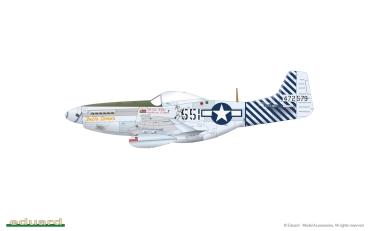 Preview: 1/48 North-American P-51D Mustang VERY LONG RANGE