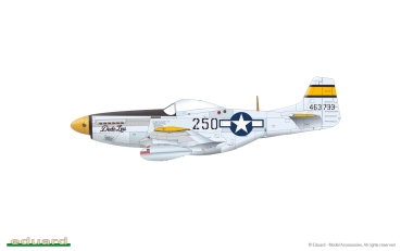 1/48 North-American P-51D Mustang VERY LONG RANGE