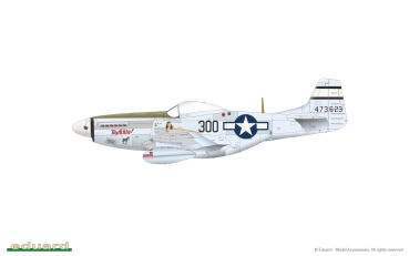 1/48 North-American P-51D Mustang VERY LONG RANGE