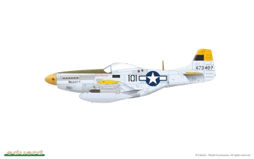 1/48 North-American P-51D Mustang VERY LONG RANGE