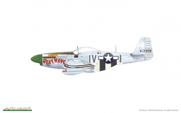 1/48 North-American P-51D-5 Mustang