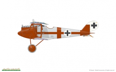 1/48 Pfalz D.IIIa (Weekend edition)