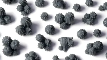 Preview: Barrel Cacti