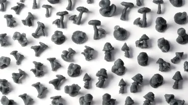 Preview: Forest Mushrooms