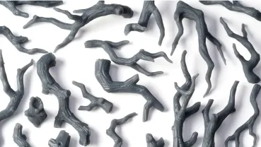 Preview: Gnarled Branches