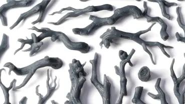 Preview: Gnarled Branches