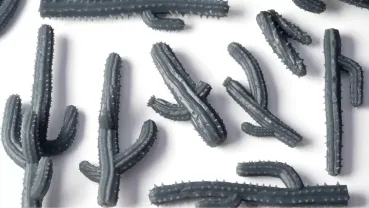 Preview: Saguaro Cacti