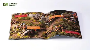Preview: Enchanted Forest Basing Box