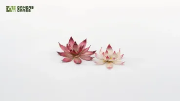 Preview: Lotus Flower