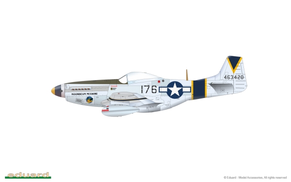 1/48 North-American P-51D Mustang VERY LONG RANGE