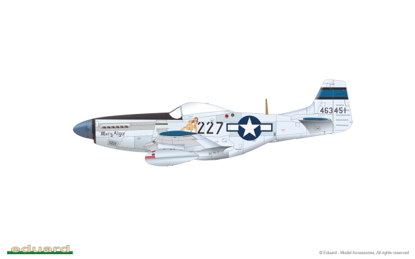1/48 North-American P-51D Mustang VERY LONG RANGE