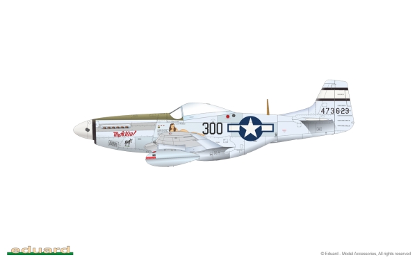 1/48 North-American P-51D Mustang VERY LONG RANGE