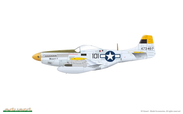 1/48 North-American P-51D Mustang VERY LONG RANGE