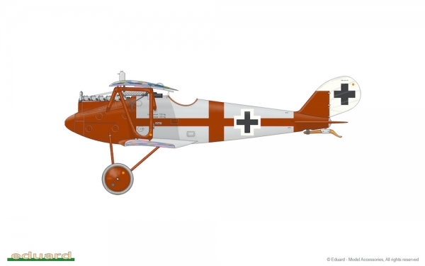 1/48 Pfalz D.IIIa (Weekend edition)