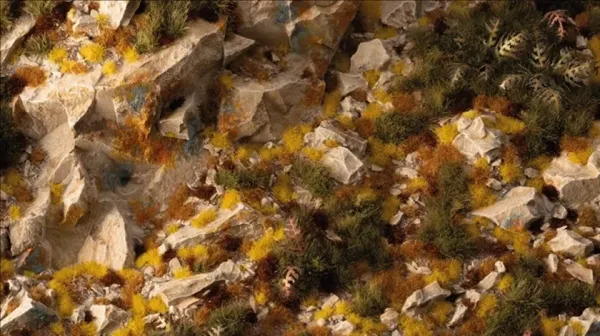 Golden Autumn Glade Basing Box