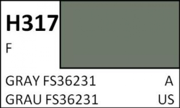 Grau FS36231 / Gray FS36231 H317